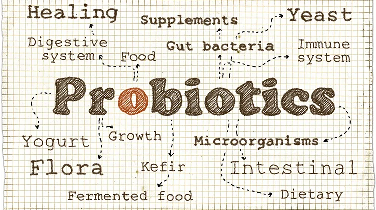 which-probiotic-supplement-to-choose